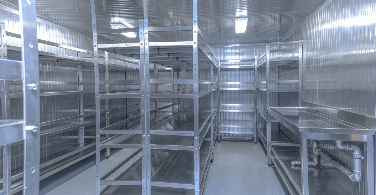 NB1120 -  ACTA PEGASUS