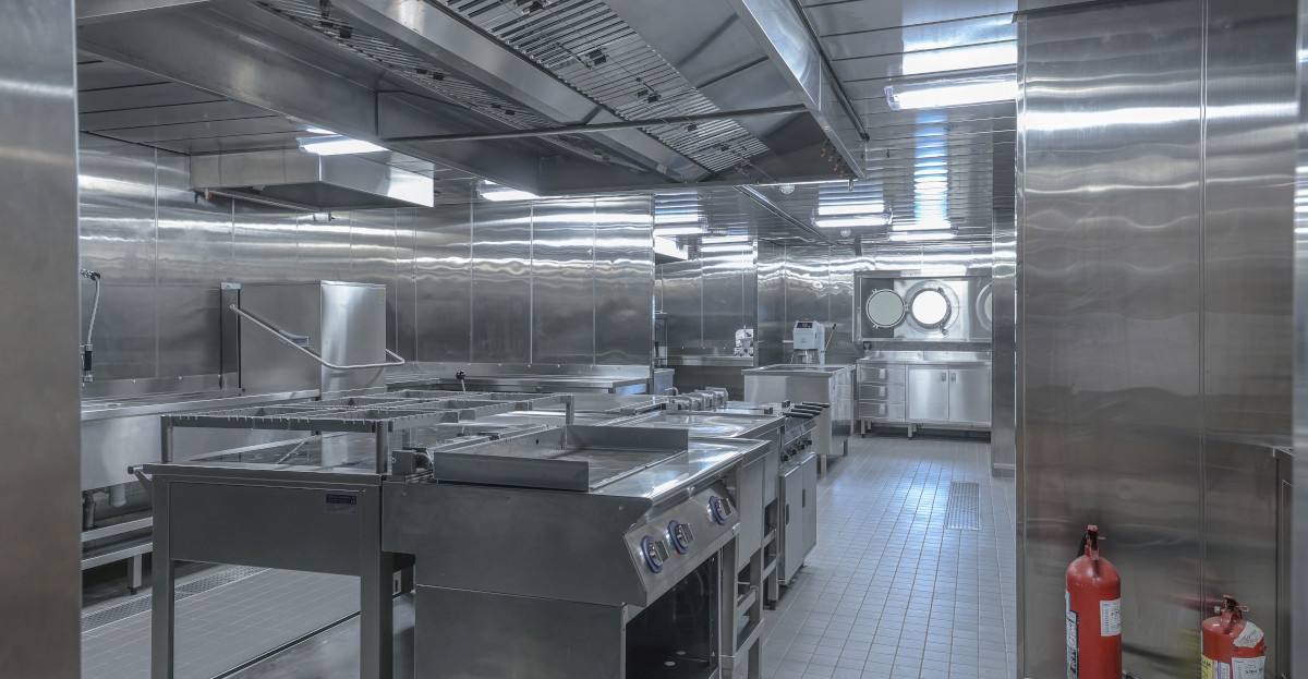 NB1120 -  ACTA PEGASUS