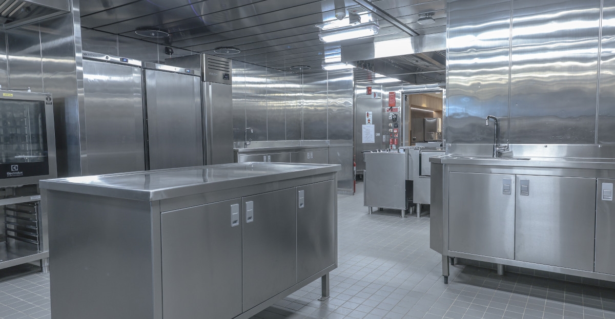 NB1120 -  ACTA PEGASUS